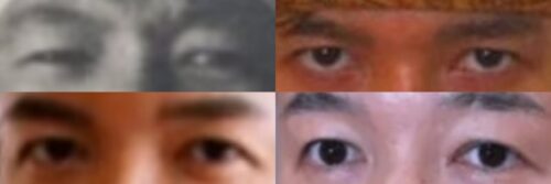 山本太郎の目